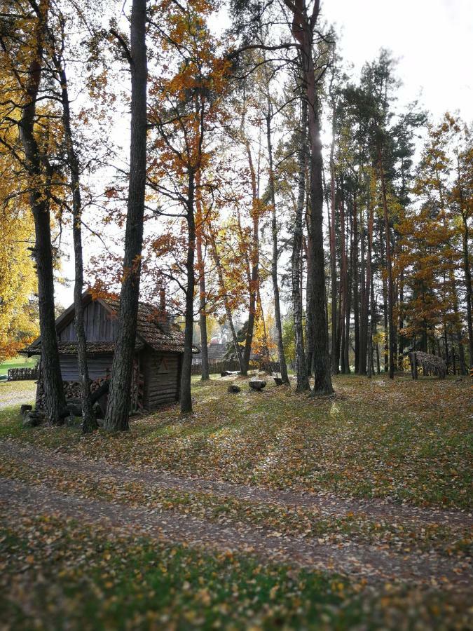 Sodyba Vieversyne Duokiskis Exteriér fotografie