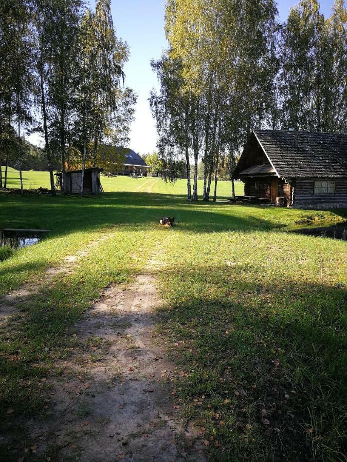 Sodyba Vieversyne Duokiskis Exteriér fotografie
