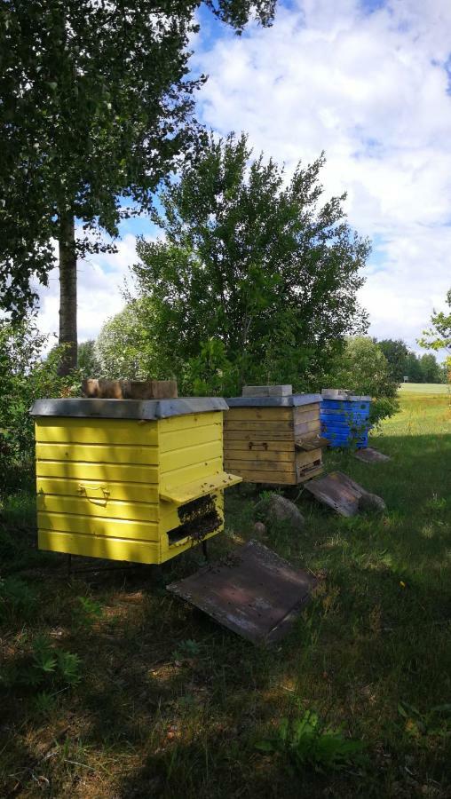 Sodyba Vieversyne Duokiskis Exteriér fotografie